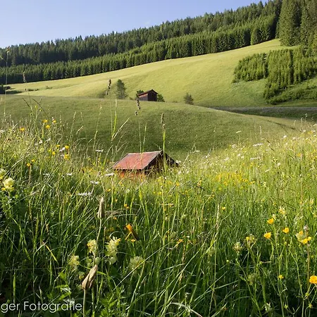 Bergkristall *