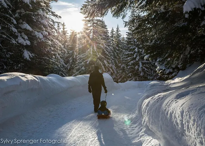 Bergkristall 住宿加早餐酒店 3*