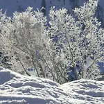 Bergkristall 3*