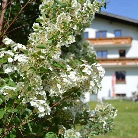 Bergkristall 3*