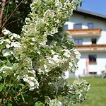Bergkristall 3*