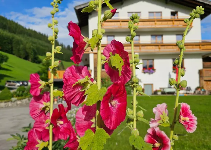 Bed & Breakfast Bergkristall