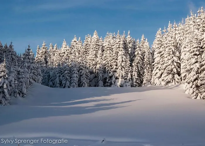 Bergkristall Bed & Breakfast